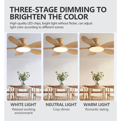 52 Inch Modern LED Ceiling Fan with Remote Control Fans