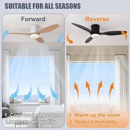 Modern Ceiling Fan with LED Light & Remote – 42 Inch Lighting > lights Fans